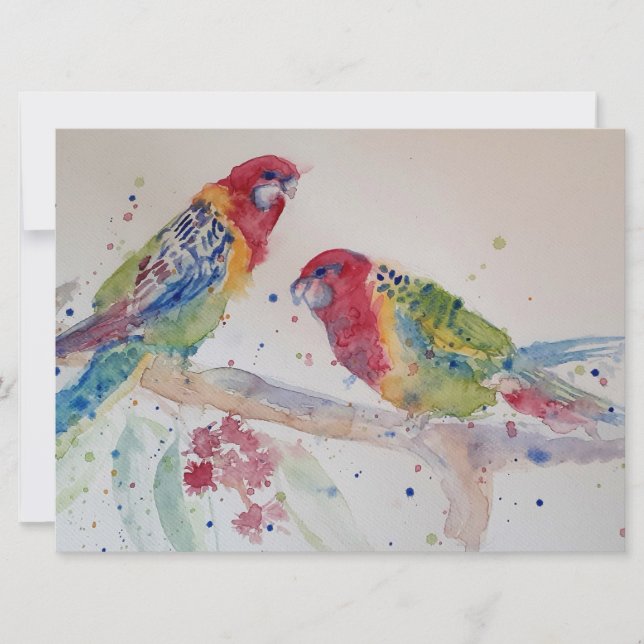 Cute Red Rosella Parrot-fågelart (Framsida)