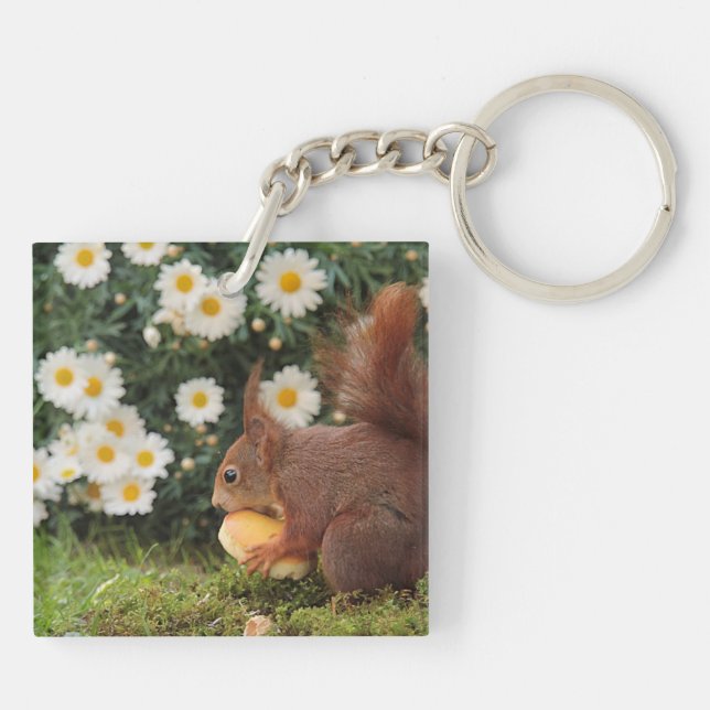 Cute Red Squirrel and Daisies (Baksidan)