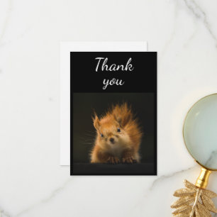 Cute Red Squirrel Animal Humor Tack Kort