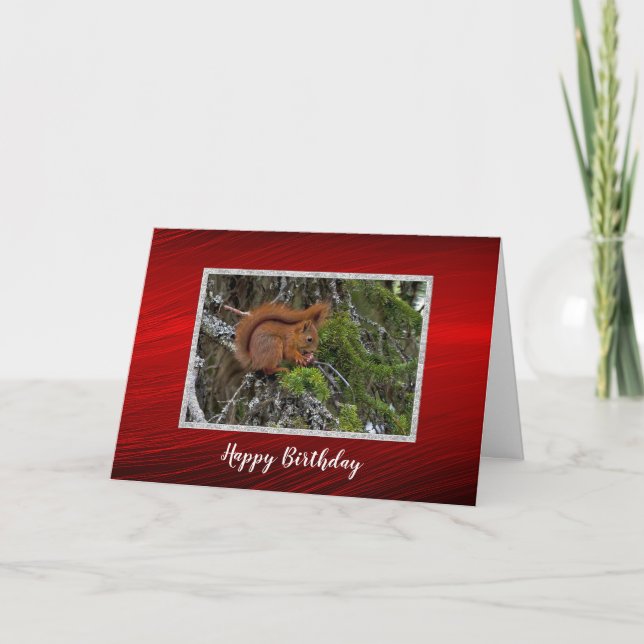 Cute Red Squirrel Gräs Photo Birthday Kort (Framsida)