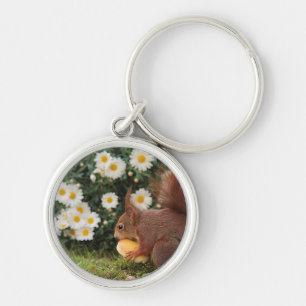 Cute Red Squirrel och Daisys Keychain Rund Silverfärgad Nyckelring