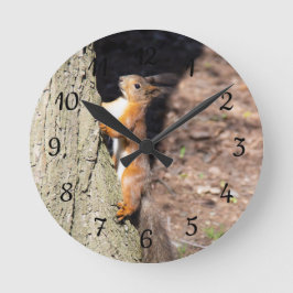 Cute Red Squirrel på träd poster dekorativ kudde Rund Klocka