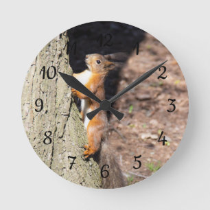 Cute Red Squirrel på träd poster dekorativ kudde Rund Klocka