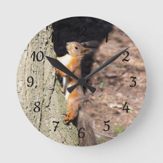 Cute Red Squirrel på träd poster dekorativ kudde Rund Klocka