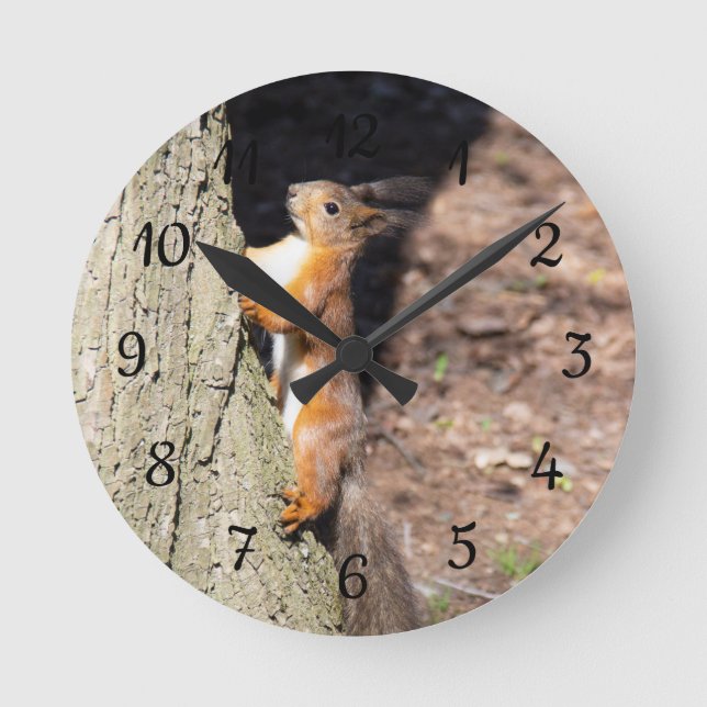 Cute Red Squirrel på träd poster dekorativ kudde Rund Klocka (Framsida)