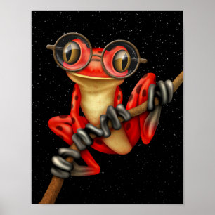 Cute Red Träd Frog med Öga-glas med stjärnor Poster