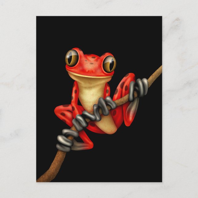 Cute Red Träd Frog på Gren på Black Vykort (Framsida)