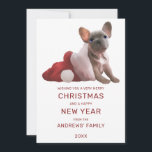 Cute Red White Fransk Bulldog Santa Hat jul Julkort<br><div class="desc">Det här söta och konstfulla julkortet är perfekt att Julhälsningar festen för ditt speciella evenemang. Den har en handmålad grått och vit fransk bulldog inuti en vit och röd julhatt ovanpå en vit bakgrund. På baksidan finns en mönster med den här söta valpen. Det är en förtjusande, enkel och lekfull...</div>