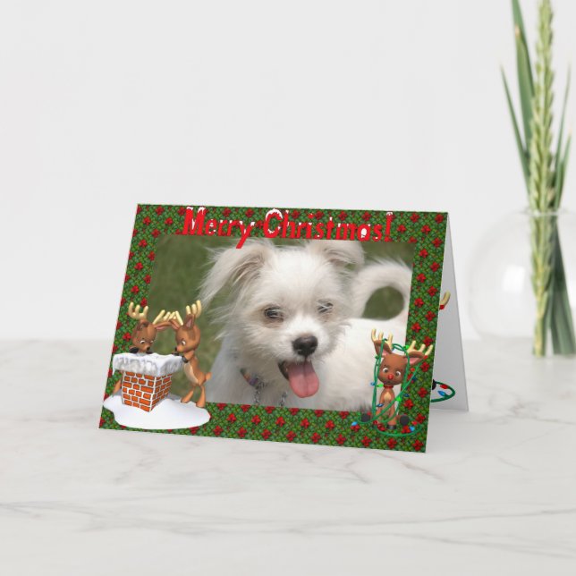 Cute Reindeer Photo Ram julkort Helgkort (Framsida)