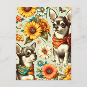 Cute Retro Chihuahua Illustration Vykort