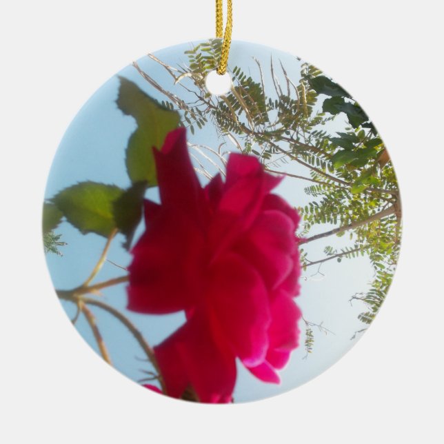 Cute Retro Hakuna Matata Gift Blue Red Grönt HIMLA Julgransprydnad Keramik (Framsidan)