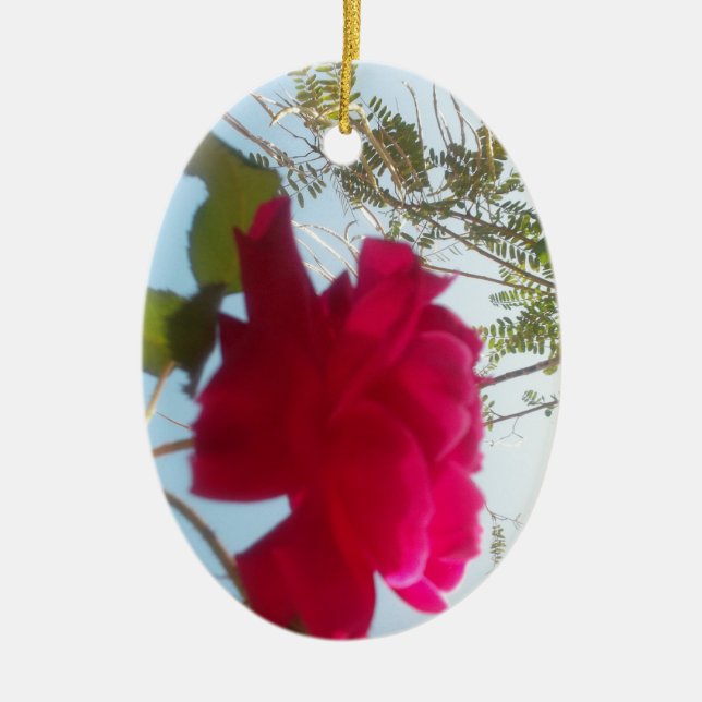 Cute Retro Hakuna Matata Gift Blue Red Grönt HIMLA Julgransprydnad Keramik (Framsidan)