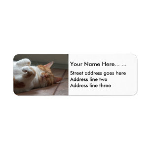 Cute-Returetiketter med sovande katt Returadress Etikett