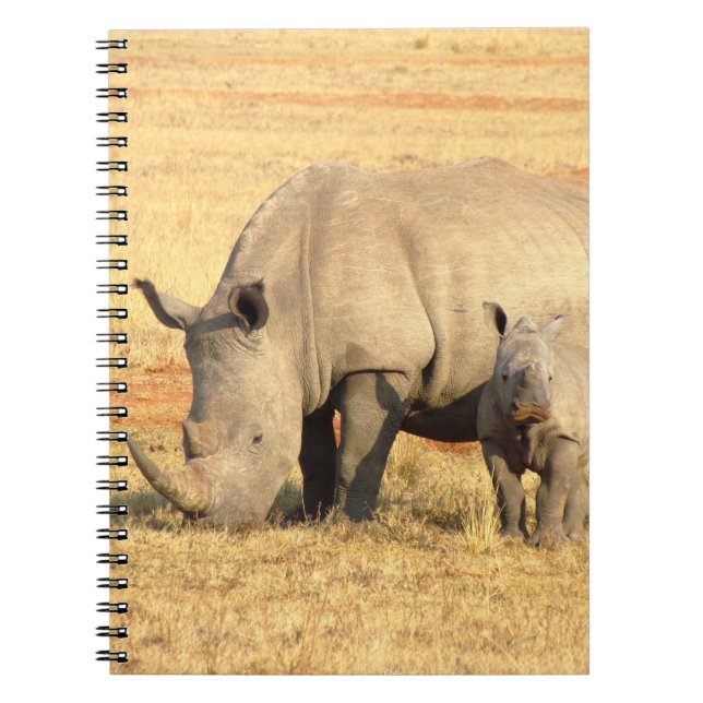 Cute rhinoceros i afrika anteckningsbok (Framsidan)