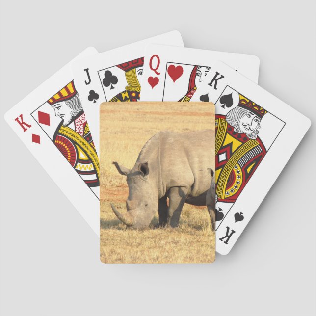 Cute rhinoceros i afrika casinokort (Baksidan)