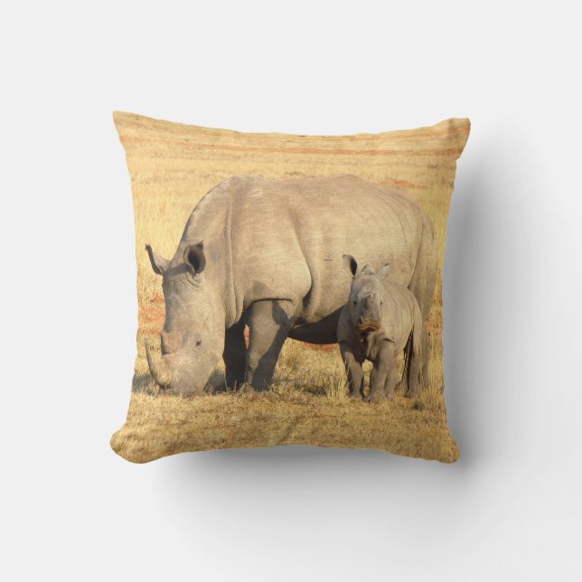 Cute rhinoceros i afrika kudde (Framsida)