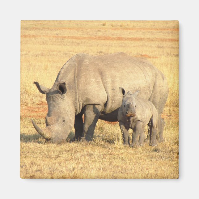 Cute rhinoceros i afrika magnet (Framsidan)