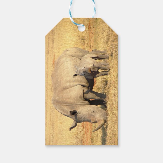 Cute rhinoceros i afrika presentetikett (Framsidan)