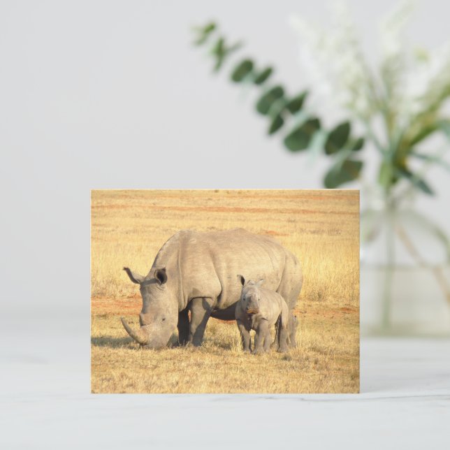 Cute rhinoceros i afrika vykort (Stående Fram)