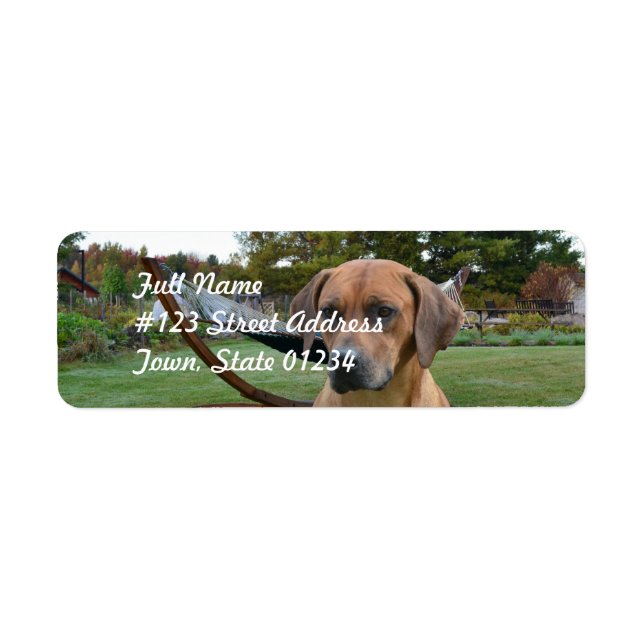 Cute Rhodesian Ridgeback Returadress Etikett (Framsidan)
