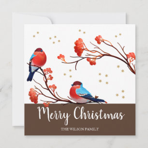 Cute Robin Birds på Red Berry Gren jul Julkort