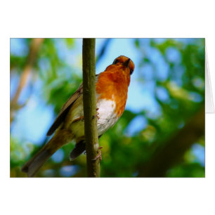 CUTE ROBIN CARD HÄLSNINGSKORT