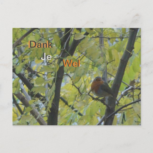 Cute Robin i Träd Tack vykort (Framsida)