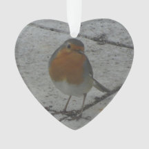 Cute Robin julprydnad