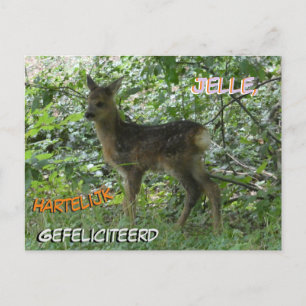 Cute Roe Hjort i Skogen-födelsedagskort Vykort