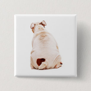 Cute rolig hund white Bulldog Knapp