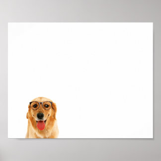 Cute roligt Golden Retriever hund Poster