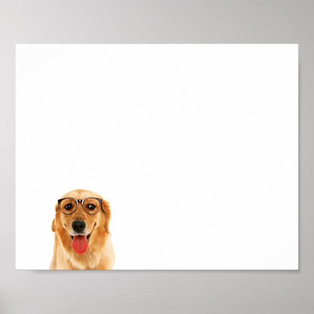 Cute roligt Golden Retriever hund Poster (Framsidan)