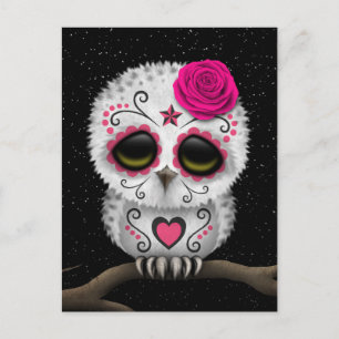 Cute Rosa Day of the dead Sugar Skull Uggla Stars Vykort