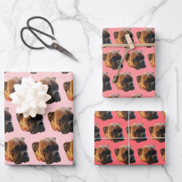 Cute Rosa Girly Boxer Hund