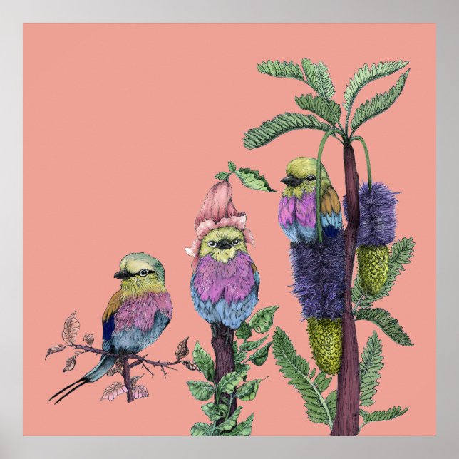 Cute Rosa Lilac Brested Roller African Bird Poster (Framsidan)