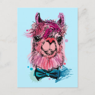 Cute Rosa Llama Vykort