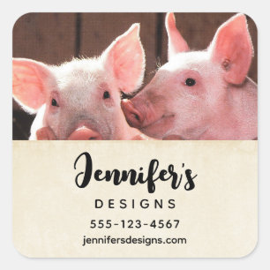 Cute Rosa Piglets Animal Photographic Business Fyrkantigt Klistermärke