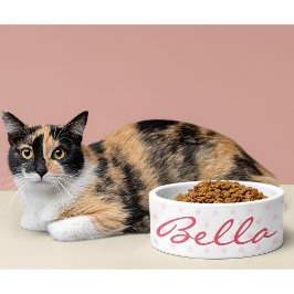 Cute Rosa Stars Cat Kattunge Kitten Puppy Namn Foo