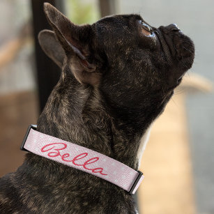 Cute Rosa Stars Hund Puppy Doggy Namn Personlig Halsband Husdjur