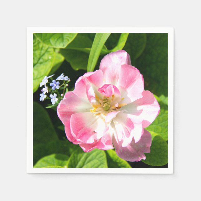 Cute rosa tulip pappersservett (Framsidan)