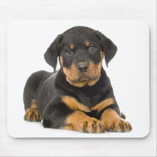 Cute Rottie Puppy Hund Gift Rottweiler Musmatta
