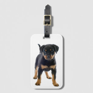 Cute Rottie Puppy Hund Rottweiler  Bagagebricka