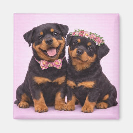 Cute Rottweiler Couple Valentine Illustration Magnet