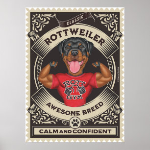 Cute Rottweiler Flexing Muscles Poster