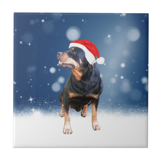 Cute Rottweiler Hund jultomten Hat Snö Stars Kakelplatta (Framsidan)