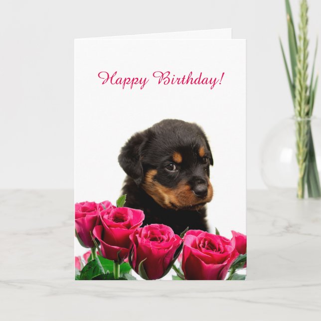 Cute Rottweiler Puppy Röd ros Grattis på födelseda Kort (Framsida)