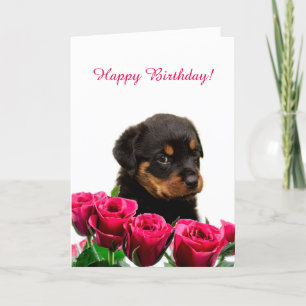 Cute Rottweiler Puppy Röd ros Grattis på födelseda Kort