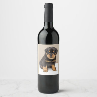 Cute Rottweiler Puppy Vinflaska Etikett