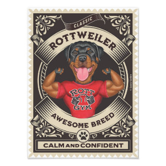 Cute Rottweiler Rottie with Muscles Fototryck