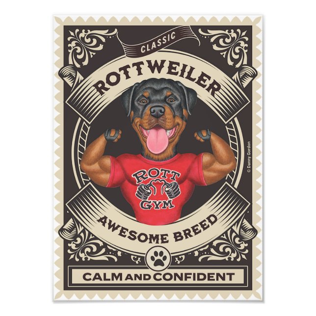 Cute Rottweiler Rottie with Muscles Fototryck (Framsidan)